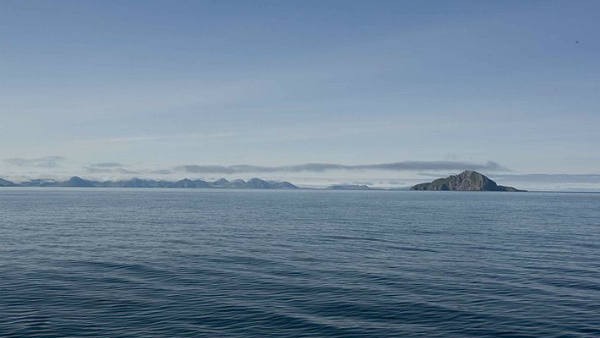 क्या है घास का काम?