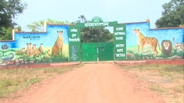 प्रधानमंत्री को बताया इवेंट प्रेमी