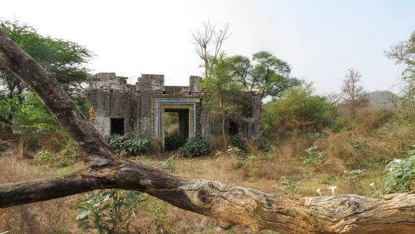 हाईकोर्ट में लगाई थी याचिका