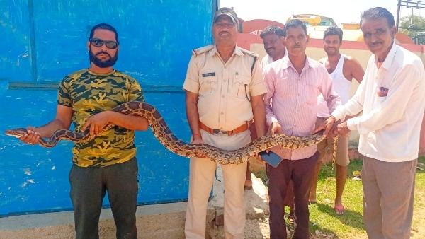 वन विभाग के अमले को बुलाया मौके पर वन विभाग के अमले को बुलाया मौके पर