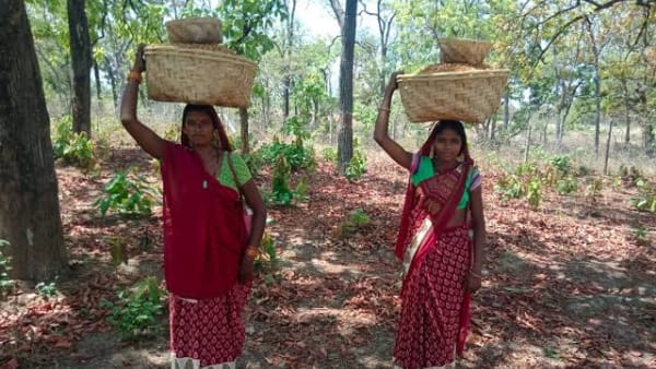 ऐसे होगा उपयोग