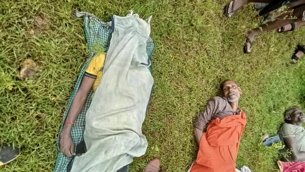 जंगल में हुआ हादसा जंगल में हुआ हादसा