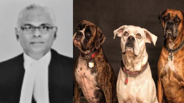 जस्टिस सिरी जगन कमीशन