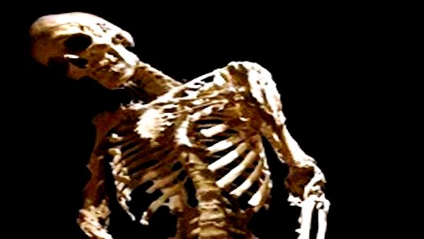 पुलिस का दावा पेट्रीसिया की हुई हत्या