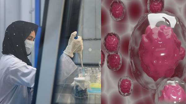 स्टेम सेल दान करने से पहले पंजीकरण