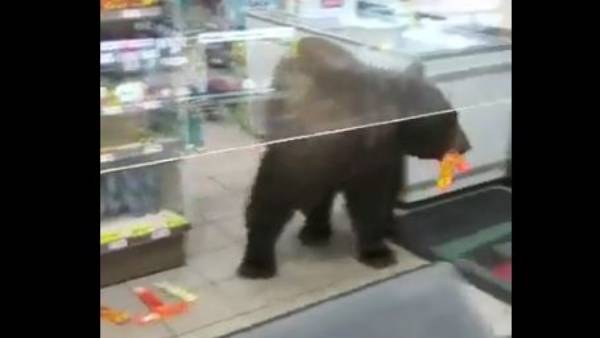 कैशियर की सिट्टी-पिट्टी गुम