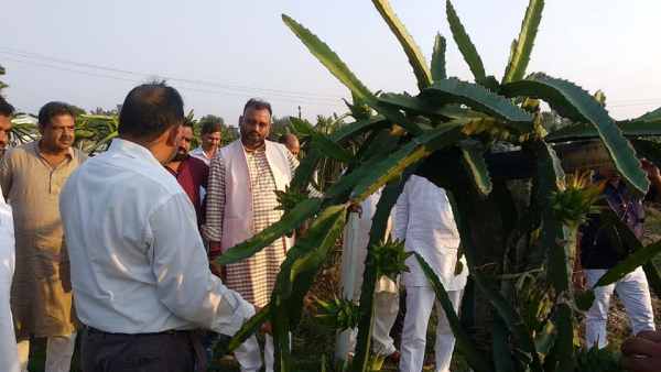 कई राज्यों के किसान