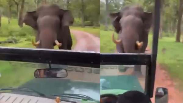 अनुभव कभी-कभी भयानक