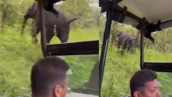 हाथी से बचाने वाले ड्राइवर को सलाम