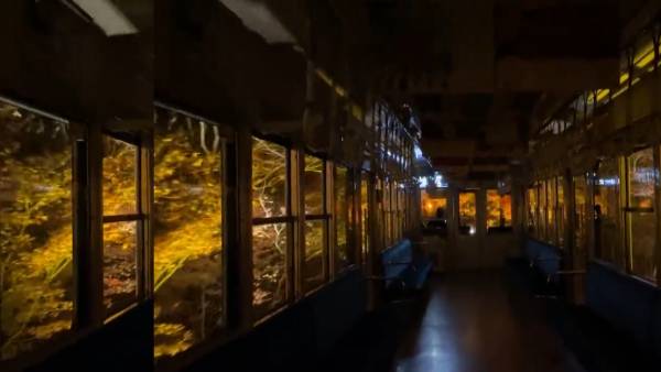 मीठे संतरे और पीले रंग का सुंदर दृश्य