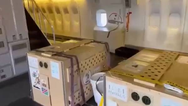 चीता भारत में सात दशकों के बाद !