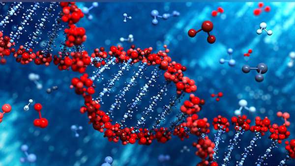 भारत के डॉक्टर की जान थाईलैंड के डॉक्टर ने बचाई