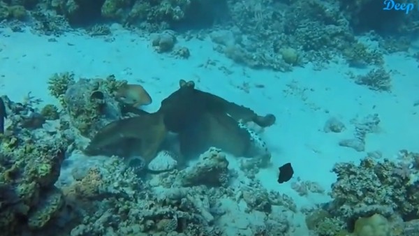 क्या हुआ अंजाम?