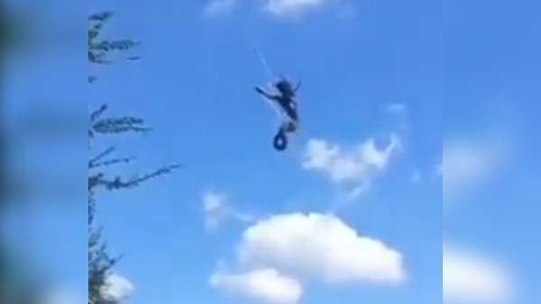  मकड़ी ने जकड़ा अजगर 