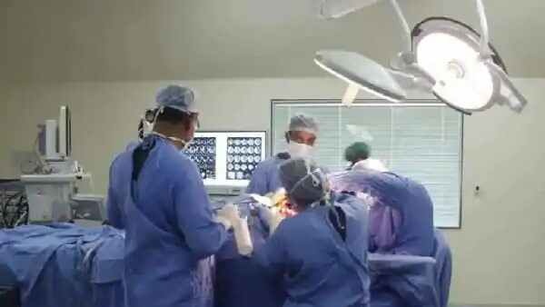 फिर दिखा जहरीला कीड़ा