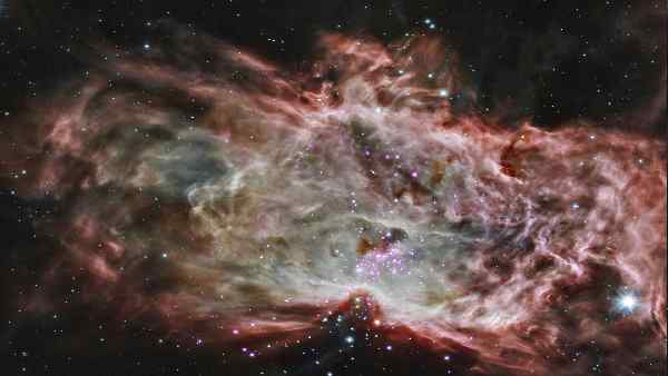 कैसे किया गया ये खोज ? कैसे किया गया ये खोज ?