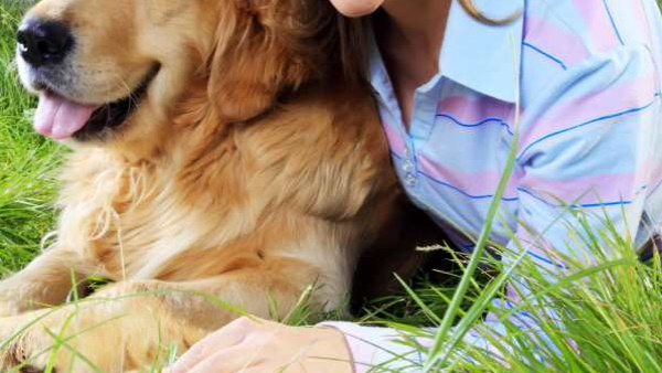 कुत्‍ते के साफ करवाए दांत, खर्च कर दिए 5 लाख रुपये 