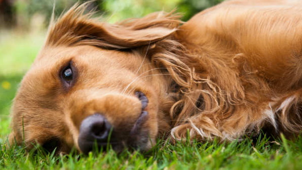 शख्‍स ने बताया कैसे खर्च हो गए पांच लाख रुपये 