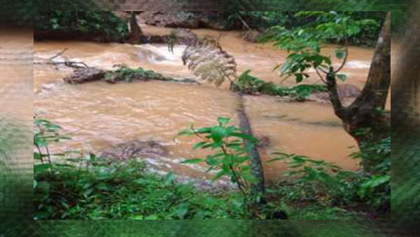 वन विभाग और NMDC नहीं दे रहा संरक्षण पर ध्यान 