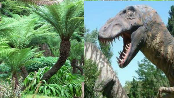 डायनसोर का मुख्य आहार था यह पौधा 