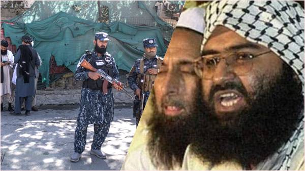 आतंकी मीर को लेकर पाकिस्तान ने क्या कहा था? आतंकी मीर को लेकर पाकिस्तान ने क्या कहा था?