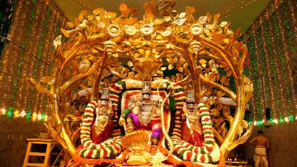  तिरुपति बाला जी में शुरू हुई सेवा