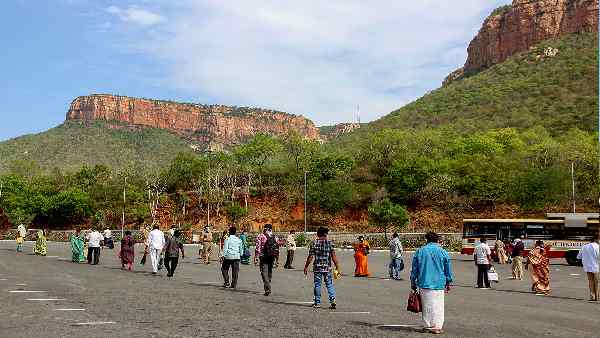 इन जगहों पर भी बन रहा है भगवान वेंकटेश्वर का मंदिर इन जगहों पर भी बन रहा है भगवान वेंकटेश्वर का मंदिर