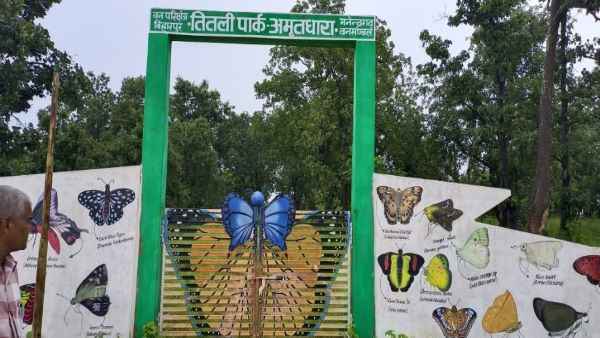 तितली पार्क बनेगा आकर्षक का केन्द्र तितली पार्क बनेगा आकर्षक का केन्द्र