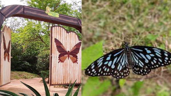 बेहद ही सुंदर है कांगेर घाटी 