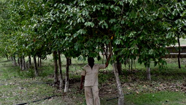 'पर्यावरण को हो रहे नुकसान को रोक सकेंगे '