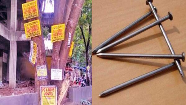 वाहिद को मिल चुका है राष्ट्रीय पुरस्कार
