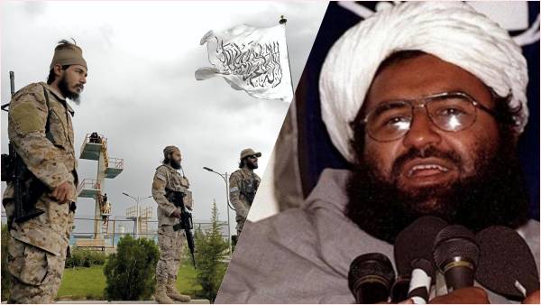 भारत के दबाव में तालिबान को पाकिस्तान ने लिखा पत्र! भारत के दबाव में तालिबान को पाकिस्तान ने लिखा पत्र!