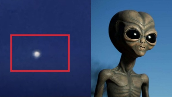 6 महीने में 19 बार दिखे