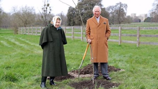 क्वीन को चॉकलेट बिस्किट, केक था पसंद 