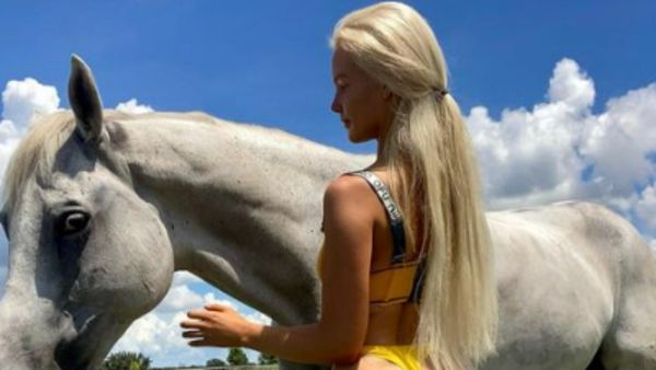 अलग से पुल और कुत्ते के लिए बेडरूम