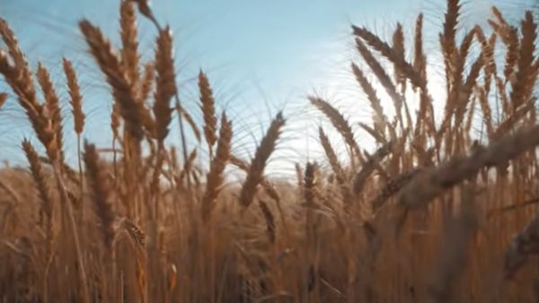 देश में अपराध बढ़ने का डर