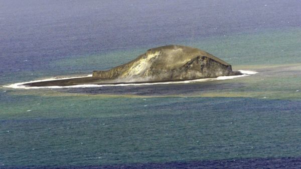 7 दिनों में 6 गुना बढ़ा आकार