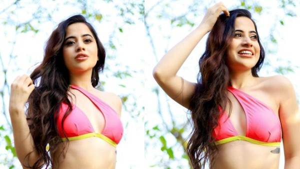 फैंस हुए हैरान