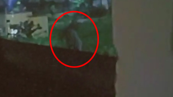 वीडियो वायरल होने के बाद बीमार होने लगे बच्चे वीडियो वायरल होने के बाद बीमार होने लगे बच्चे