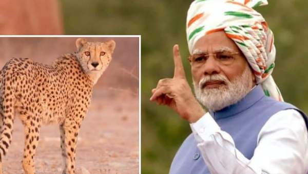 शिवपुरी में बनाए जा रहे हैं पांच हेलीपैड