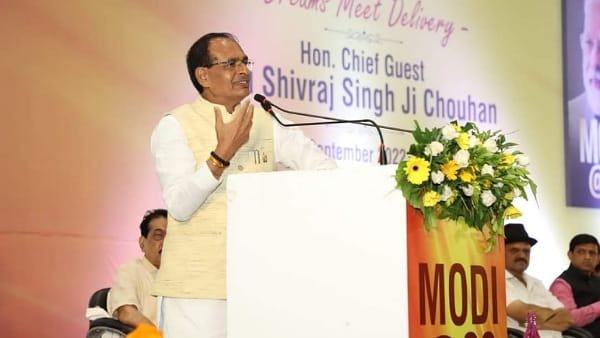 यह पुस्तक देश का महिमामंडन करती है 