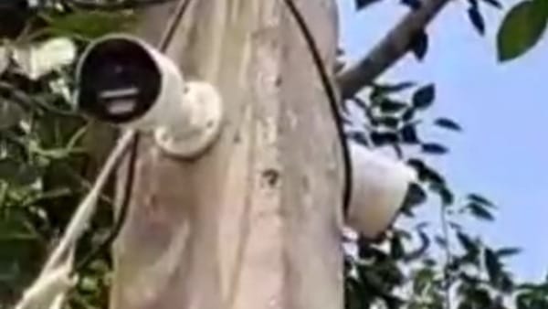 कुछ इस तरह मिल रहा कि कैमरों का फायदा कुछ इस तरह मिल रहा कि कैमरों का फायदा