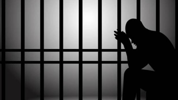 wife was killed by an electric wire court sentenced the husband to life imprisonment in bhopal wife was killed by an electric wire court sentenced the husband to life imprisonment in bhopal