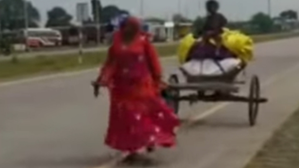 बैलों की मौत हो जाने के कारण खुद खींच रही थी बैलगाड़ी