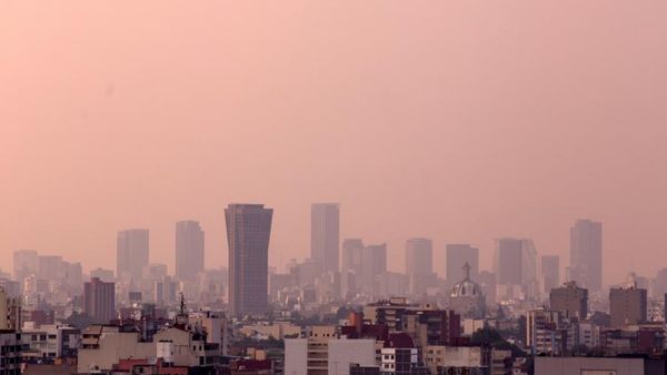 एक महीने में घट गई लगभग आधी कीमत