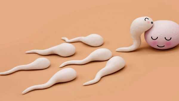 क्या है मामला