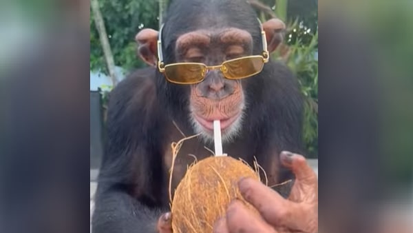 वीडियो वायरल