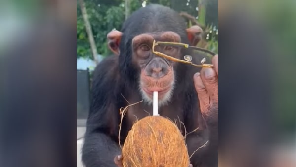 8.4 लाख से अधिक बार देखा जा चुका है