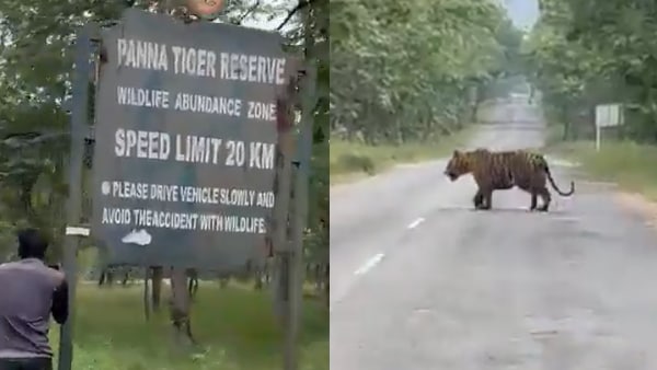 'आपकी जान जा सकती थी' 'आपकी जान जा सकती थी'