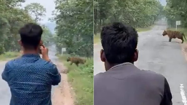 वीडियो वायरल वीडियो वायरल